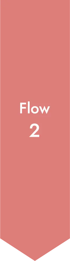 Flow2
