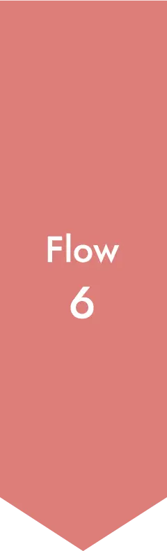 Flow1