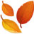🍂