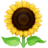 🌻