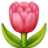 🌷