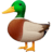 🦆