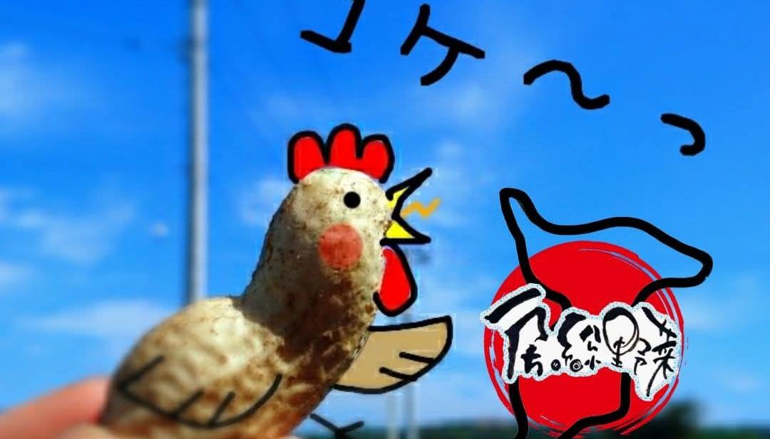 ブログ